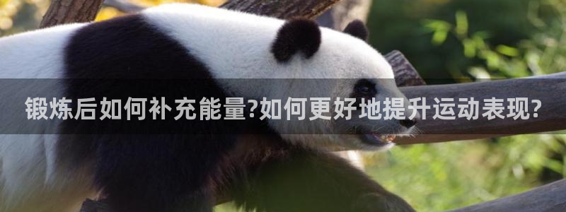 成都金熊猫体育：锻炼后如何补充能量?如何更好地提升运动表现?
