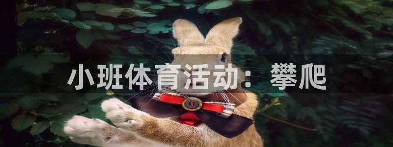 熊猫体育平台：小班体育活动：攀爬