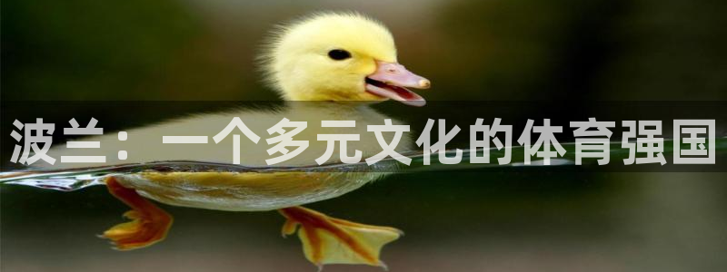 熊猫体育文化有限公司：波兰：一个多元文化的体育强国