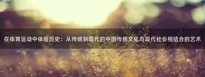 中山熊猫体育：在体育运动中体验历史：从传统到现代的中国传统文化与现代社会相结合的艺术