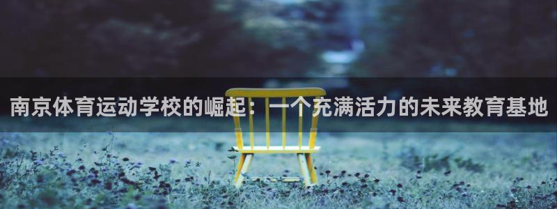 熊猫体育v3.新网页.org：南京体育运动学校的崛起：一个充满活力的未来教育基地