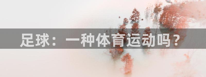 熊猫体育手机版：足球：一种体育运动吗？