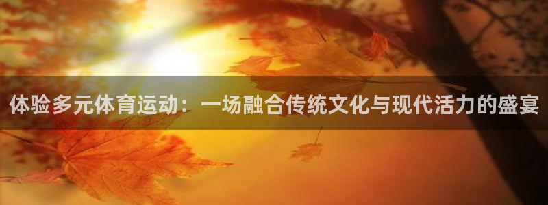 熊猫体育官方网站：体验多元体育运动：一场融合传统文化与现代活力的盛宴
