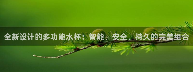 熊猫体育sports：全新设计的多功能水杯：智能、安全、持久的完美组合