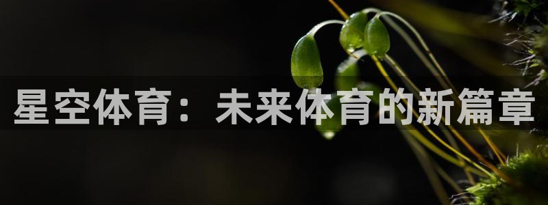 熊猫体育平台：星空体育：未来体育的新篇章