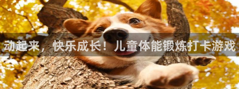 成都熊猫体育公园：动起来，快乐成长！儿童体能锻炼打卡游戏