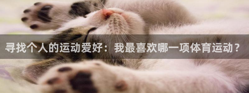 熊猫体育比赛直播：寻找个人的运动爱好：我最喜欢哪一项体育运动？
